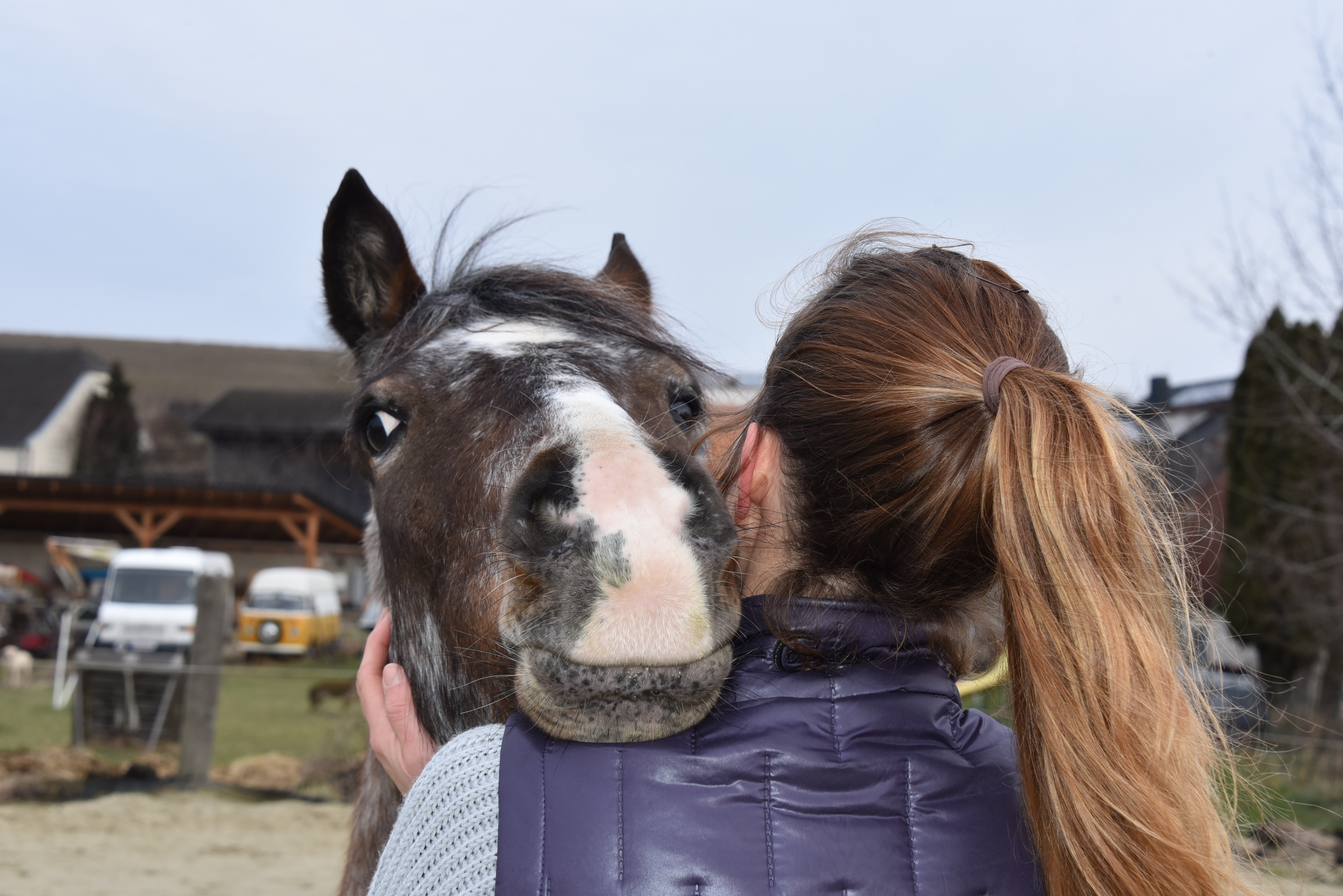 Karoline Orth mit Pferd (2)